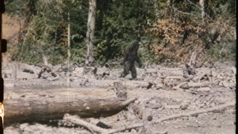 ARCHIVE #016 — THE PATTERSON–GIMLIN FILM