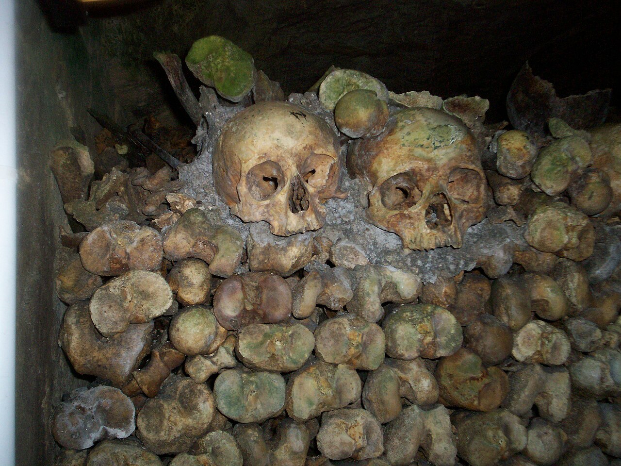 ARCHIVE #008 — THE PARIS CATACOMBS